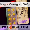 Viagra Kamagra 100Mg new06